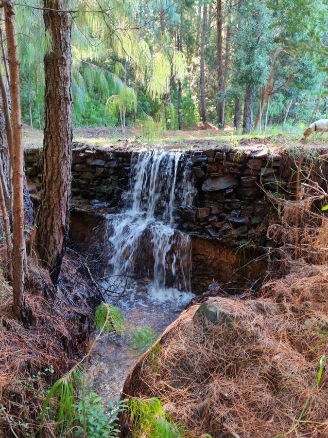 Ukutula Resort Dullstroom Eksteriør billede